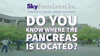 Do YOU Know Where the Pancreas is Located?