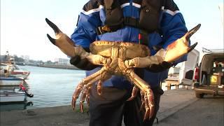 Gendarmes contre braconniers de la mer