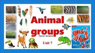 Quick Minds 2. Unit 7. Lesson 7-8. New words "Animal groups'' p. 68 Animal groups and their features