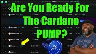 Time For Some Cardano TA | Bear Market Episode 4 | ADA TA |