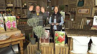 LIVE Sunday Shopping with You Garden