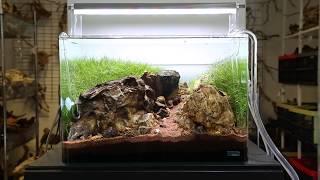 Aquarium Gardens Display Aquascapes - June 2017