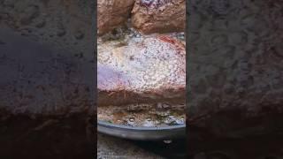 Sous vide steak filet mignon 수비드 안심 스테이크 버터 샤워 #쿡비