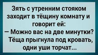 Как Зять с Утренним Стояком Тещу Напугал! Сборник Свежих Анекдотов! Юмор!