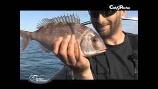 Pêche light avec Nicolas Cadiou - Team Ultimate Fishing