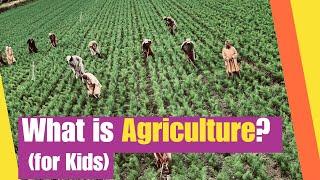 What is Agriculture? (for kids) | Learn the history of agriculture from ancient times to present day