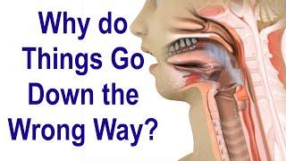 Why do Things Go Down the Wrong Way When Swallowing Sometimes (Aspiration)?