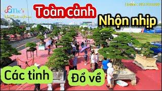 Toàn cảnh Festival sinh vật cảnh Hà Nội 2024