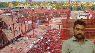 Ustad sajid nay home bred bachy bahir nikal diye