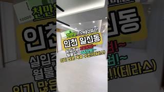 2천만원~ 복층에 왕테라스까지  월 84만원~ 복층에서 살자!특가세대 분양  #일신동신축빌라#부개동신축분양 #부개동신축오피스텔 #일신동복층빌라 #부개역 #일신동복층분양