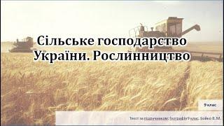 Сільське господарство України. Рослинництво.