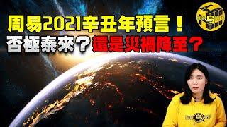 2021年終極預言，全球將面臨更大的災難？！年卦山火賁卦究竟意味着什麼？解析中西方三本最權威的預言古書：皇極經世，地母經，諸世紀 [腦洞烏托邦 | 小烏 | Xiaowu]