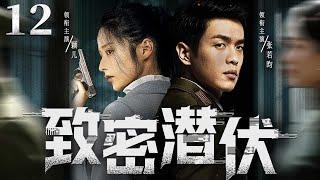 【精彩谍战剧】致密潜伏12 | 王牌间谍与队友里应外合配合默契，以身入局终胜敌（张若昀、富大龙)