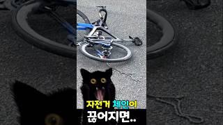 자전거를 타다 체인이  끊어지면 벌어지는 치명적인 일