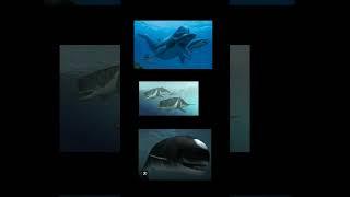 Spinosaurus vs All Whales #shorts #shortvideo #spinosaurus #bluewhale #livyatan #spermwhale