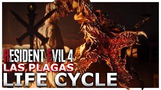 The SPINE LATCHING Las Plagas Life Cycle Explained | RE4 Remake Lore