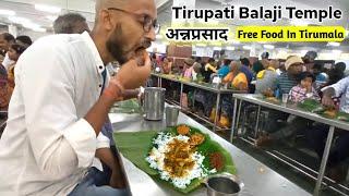 Tirumala Annaprasadam | Tirupati Balaji Temple | Free Food In Tirumala | DP Trekker