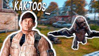 ПАШОК КИШКОБЛУД НАВОДИТ ШУМ В ЗОНЕ | DAYZ STALKER RP @Kaktoos1 @Macksos
