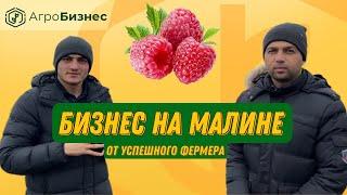Как создать успешный бизнес на малине? Секреты от гуру своего дела. Разбор Нишы
