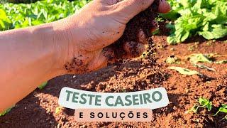 COMO MEDIR O PH DO SOLO | Terra de Horta