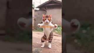 #cat funny dancing# #you tube shorts# 11 March 2025