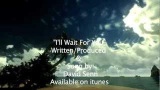 "I'll Wait For You" David Senn