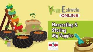 Episode 14: Harvesting & Storing My Veggies