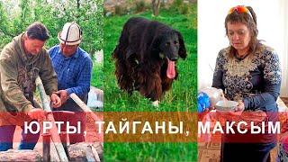 ЮРТЫ, ТАЙГАНЫ, МАКСЫМ - Весенний Кыргызстан