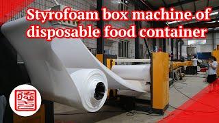 Styrofoam box machine of the disposable food containers, making machine for making disposable plates