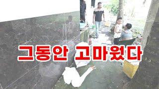 베트남 단오날에 거위대장을 보내야했던 가심아픈 사연~! (kiengiangtv)