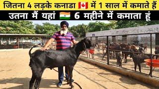 ऐसा शानदार फॉर्म आपने देखा नहीं होगा | Goat Farm | Poultry Farm | Stud Farm | Fish Farm