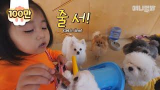 내 나이 다섯짤, 개린이집에 취업했습니다ㅣ 5-year-old Baby Is A Pet Sitter?!