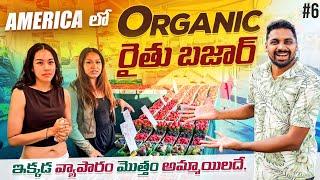 America  Local Farmers Vegetable & Fruits Market | Uma Telugu Traveller