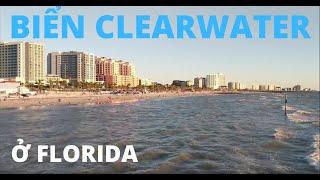 BÃI BIỂN Ở FLORIDA - DU LỊCH CLEARWATER BEACH - CUỘC SỐNG MỸ - 28