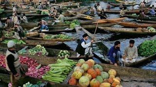 डल झील श्रीनगर में अतिक्रमण और प्रदूषण की जमीनी सचाई और हकीकत। - Pollution Chokes Kashmir's Dal Lake