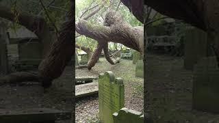 Enchanted Tree Otley Market Town Centre Virtual Walk Tour Shops West Yorkshire Dales 4K UK 