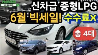 신차급 중형LPG 6월 미친빅세일 총4대 수수료X