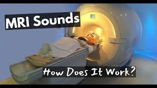 What Makes The Strange MRI Sounds? (Gradient Coil, Coldhead, and RF Coil Explained)