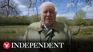 Sir David Attenborough warns of ‘crippling’ climate crisis