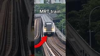 Singapore's futuristic train #mrt #singapore