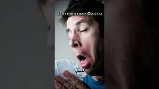 5 поразительных фактов о сне  | #Shorts #сон#интересныефакты #мозг #наука #психология #бессонница.
