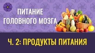 Питание головного мозга, ч.2 – продукты питания