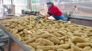 The Largest Dough! Seitan (Vital Wheat Gluten) Mass Production / 麵輪量產工廠 - Food Factory