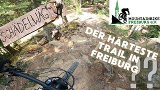 Mega Enduro Trail in Freiburg-Oberried | Schädelwäg | MTB Freiburg e.V. | 2023