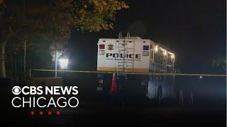 Woman shot, killed at home in Barrington, Illinois