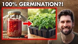 I TESTED Fermenting Seeds Before Germinating Them - here's what happened!