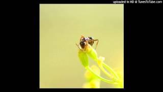 Une maison écolo et sans insectes