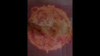 'SMOOTH' clip01 by Charles Belhumeur