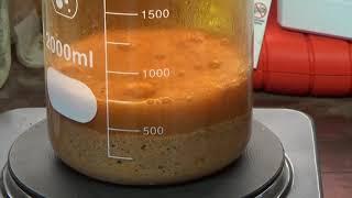 4 21 2020 Aqua Regia Test on 1 lb of our ore