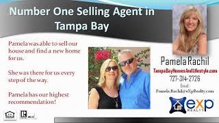 Pamela Does Palm Harbor Real Estate|Florida Realtor